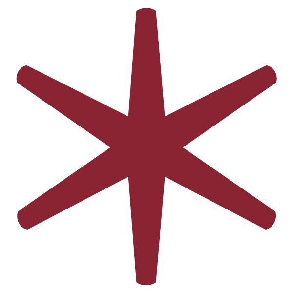 Asterisk Logo